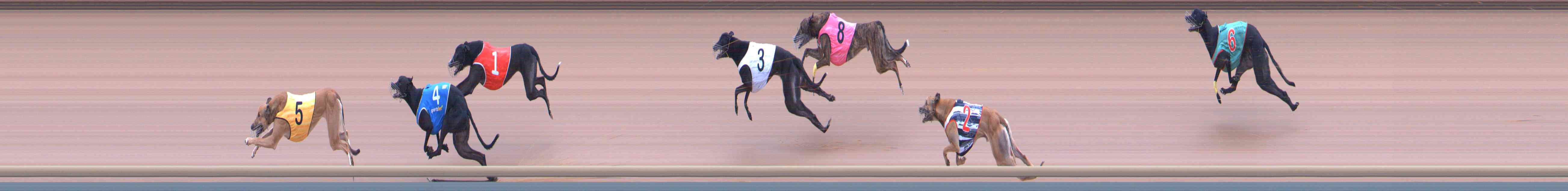 Photo finish for Healesville Race 7