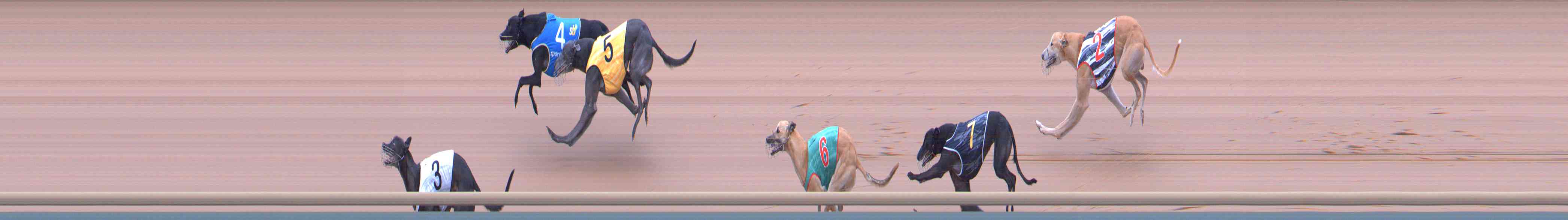 Photo finish for Healesville Race 9