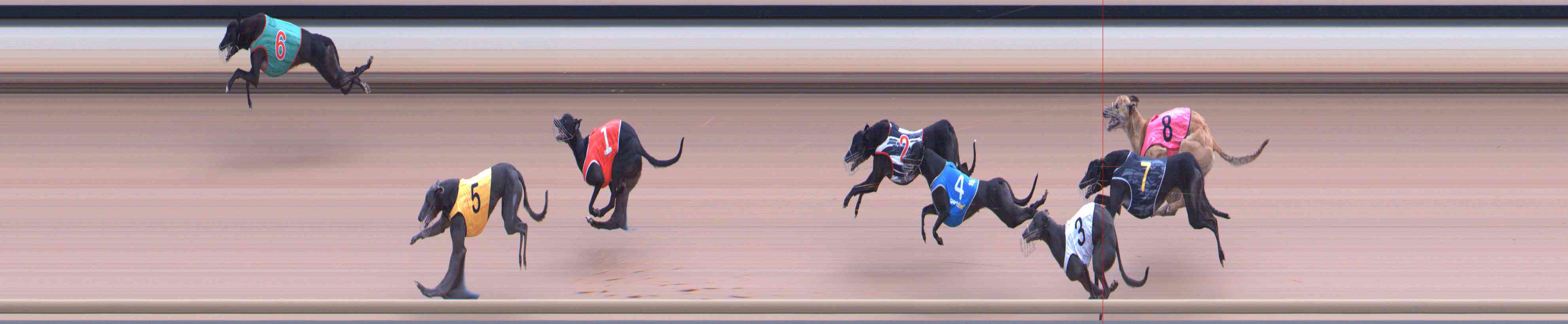 Photo finish for Healesville Race 10