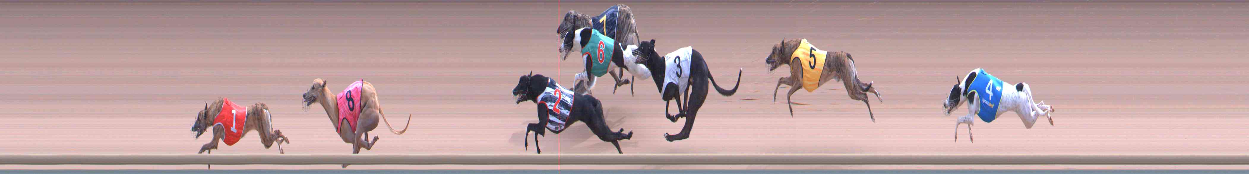 Photo finish for Healesville Race 11