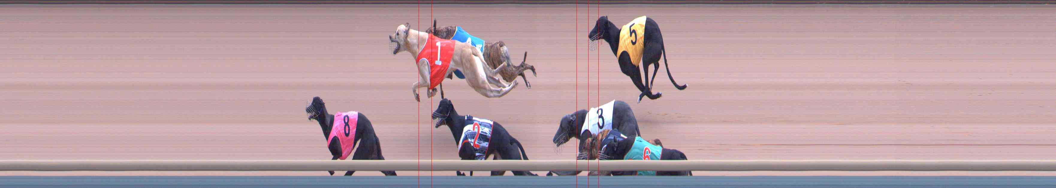 Photo finish for Healesville Race 12