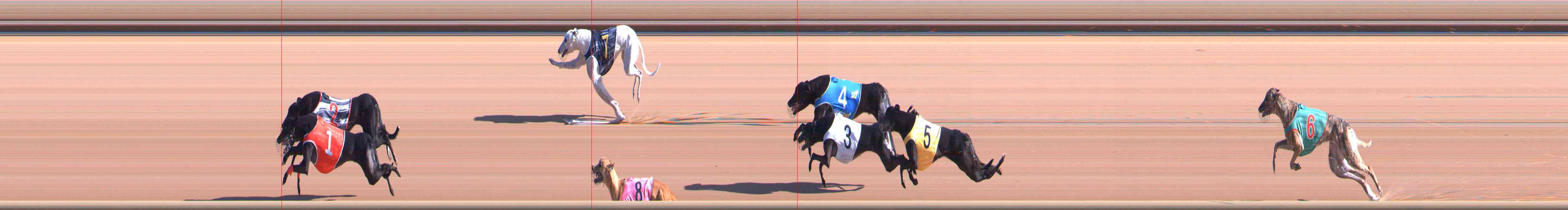 Photo finish for Healesville Race 1