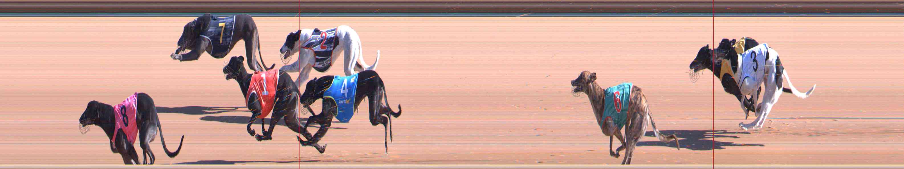 Photo finish for Healesville Race 2