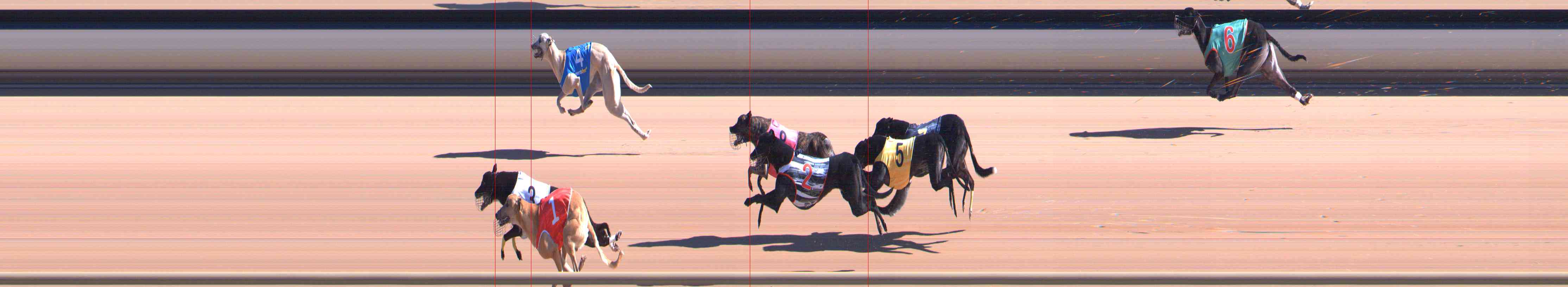 Photo finish for Healesville Race 3