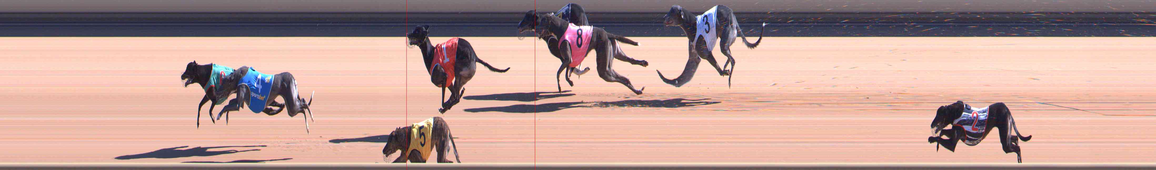 Photo finish for Healesville Race 4