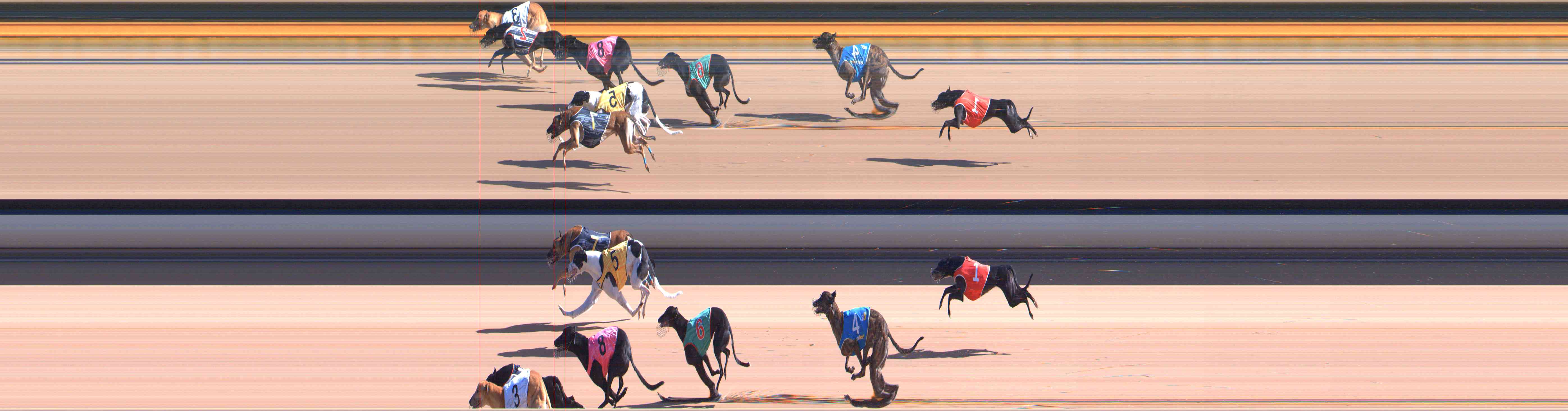 Photo finish for Healesville Race 5