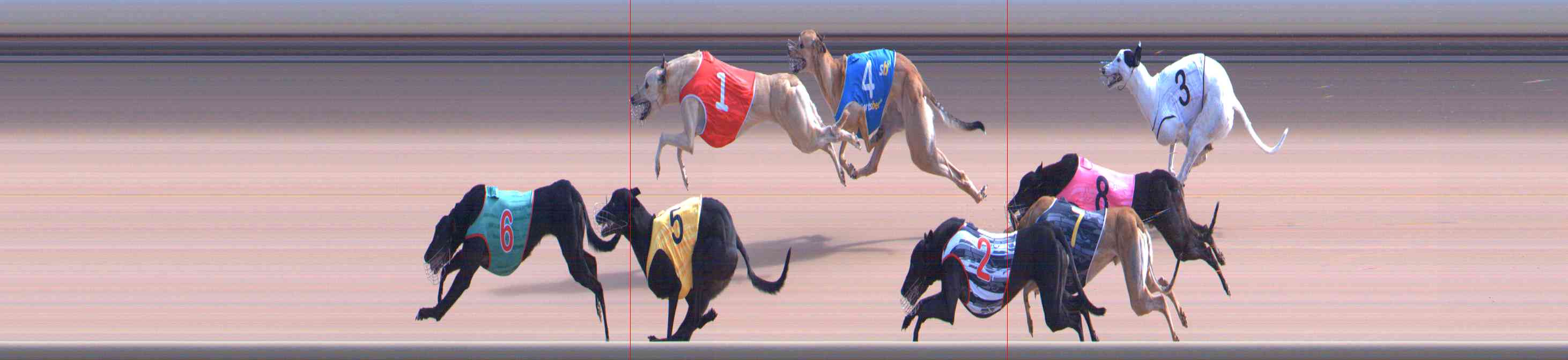 Photo finish for Healesville Race 6