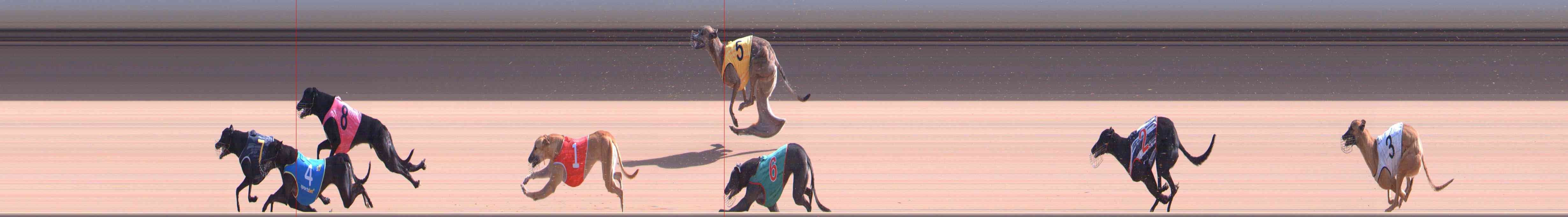 Photo finish for Healesville Race 7
