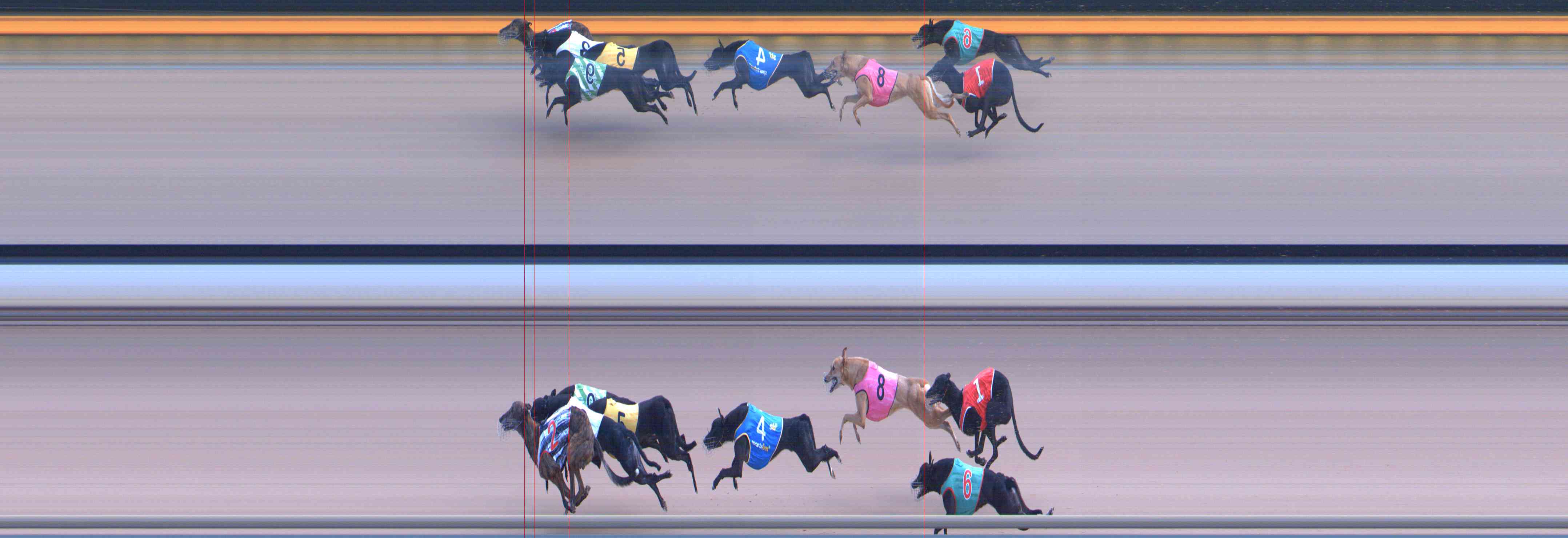 Photo finish for Healesville Race 8