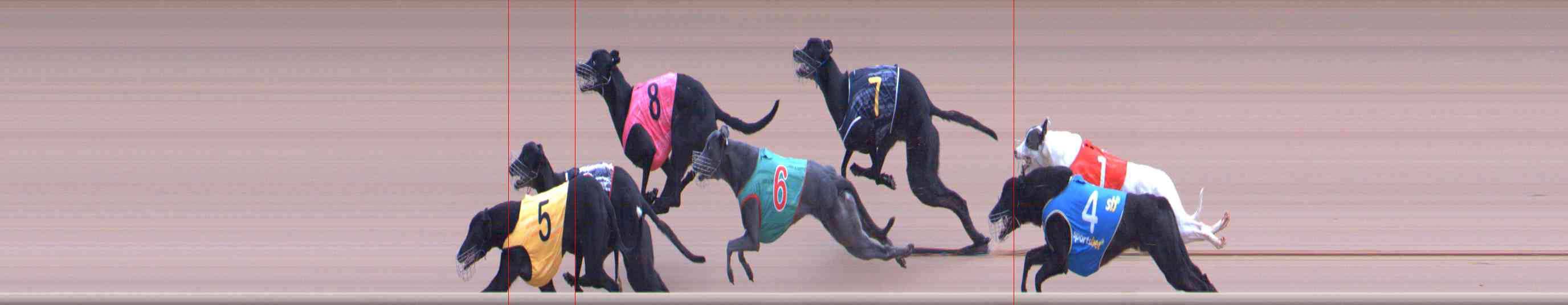 Photo finish for Healesville Race 9