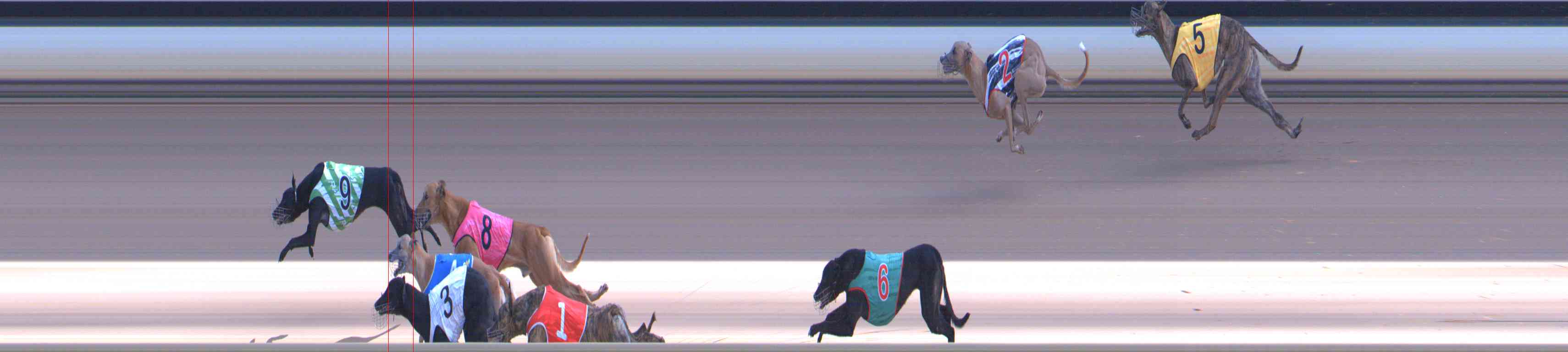 Photo finish for Healesville Race 10