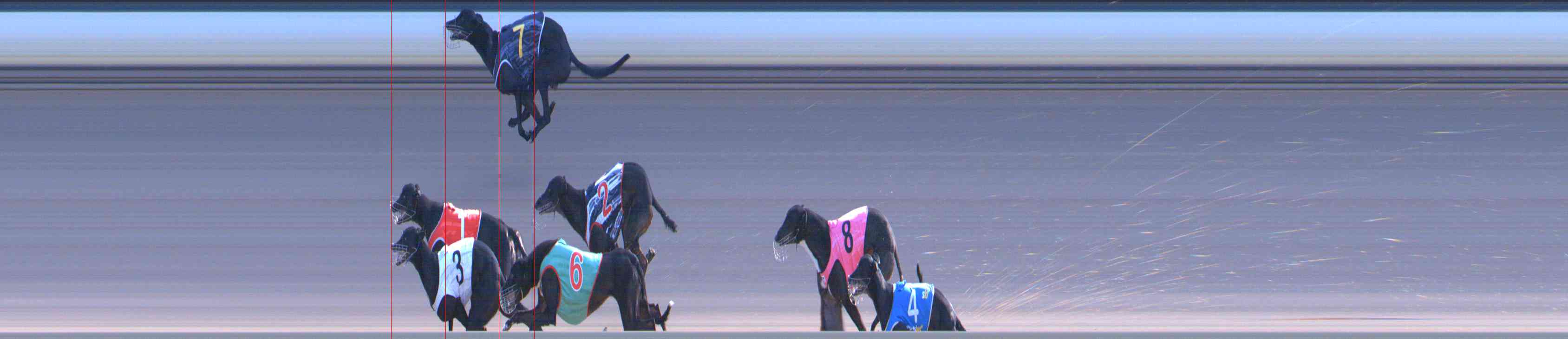 Photo finish for Healesville Race 11