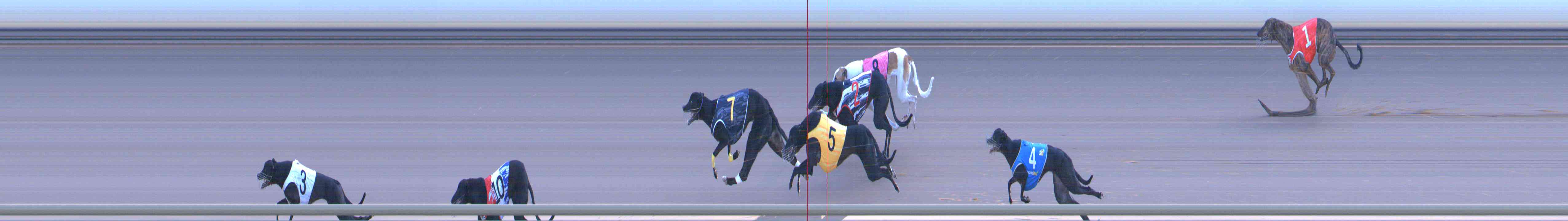 Photo finish for Healesville Race 12
