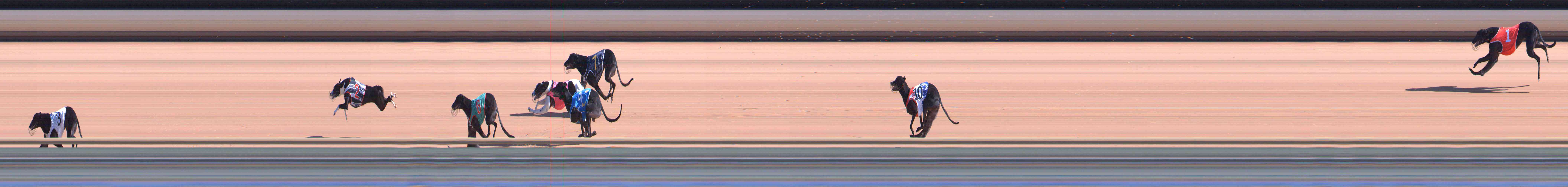 Photo finish for Healesville Race 1