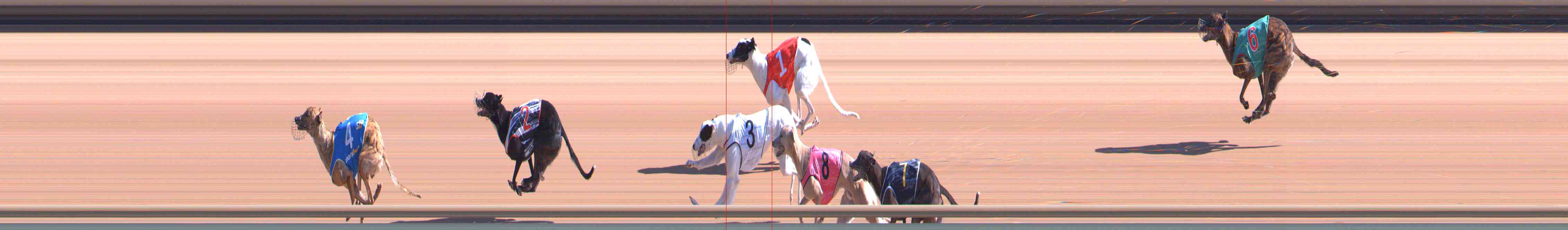 Photo finish for Healesville Race 2