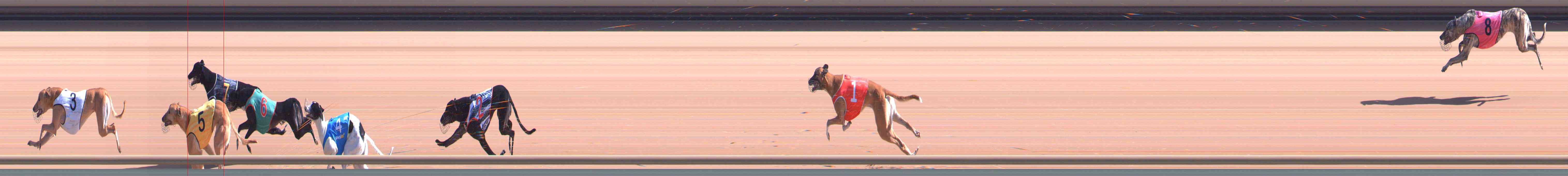 Photo finish for Healesville Race 3