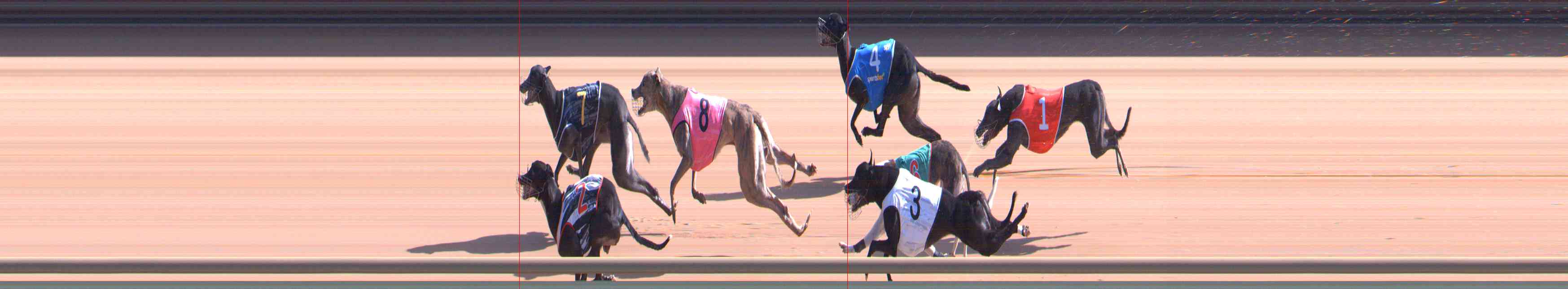Photo finish for Healesville Race 4