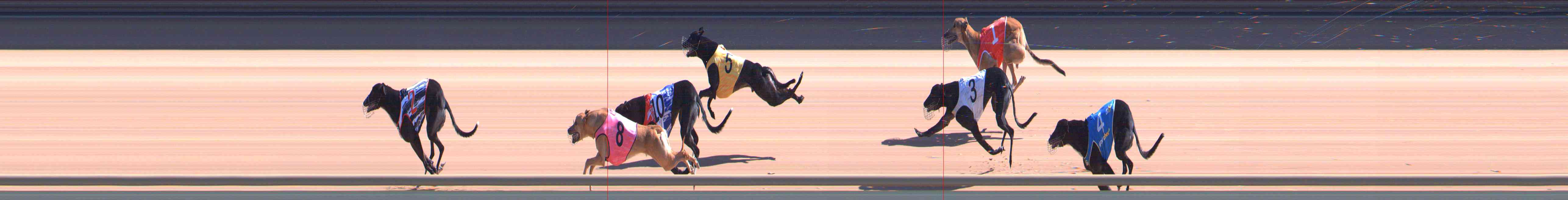 Photo finish for Healesville Race 5
