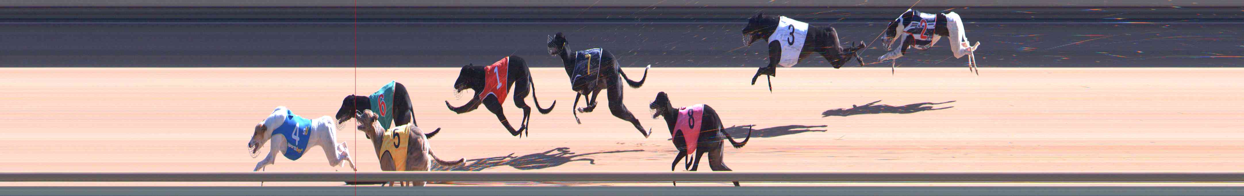 Photo finish for Healesville Race 6