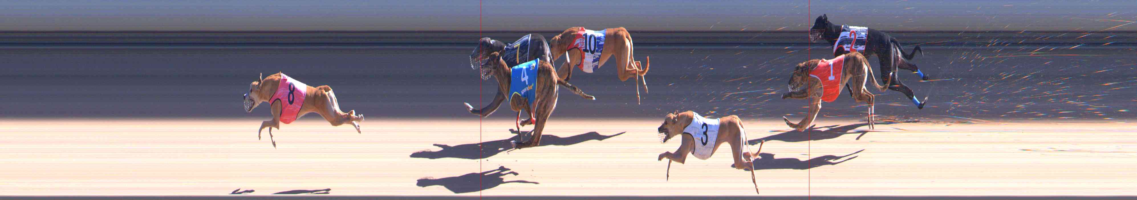 Photo finish for Healesville Race 7