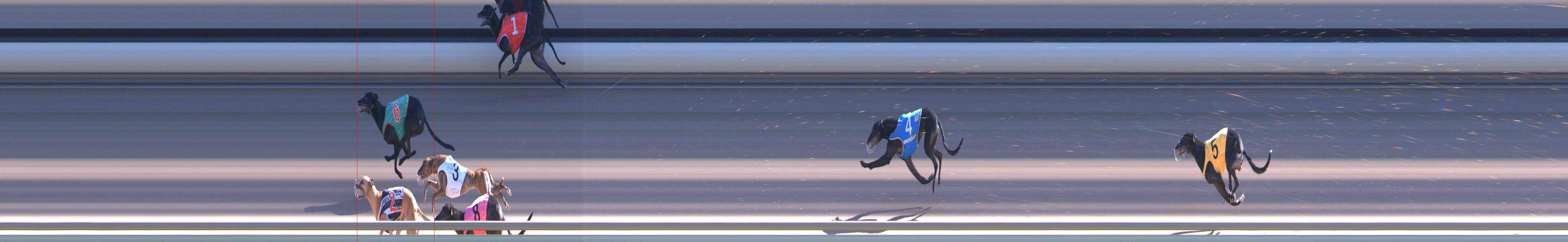 Photo finish for Healesville Race 8