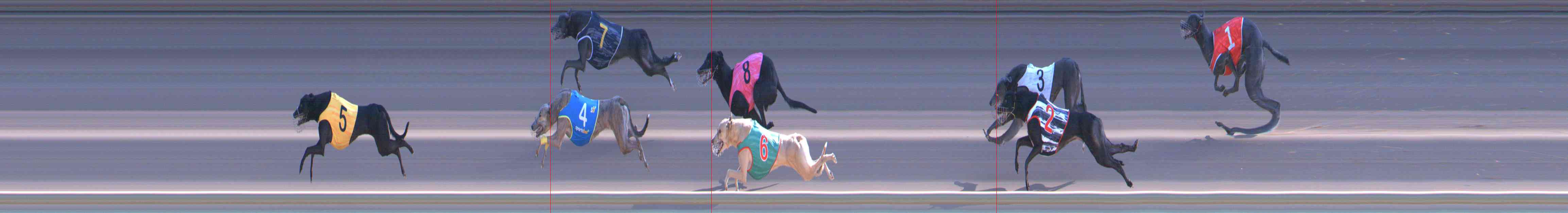 Photo finish for Healesville Race 9