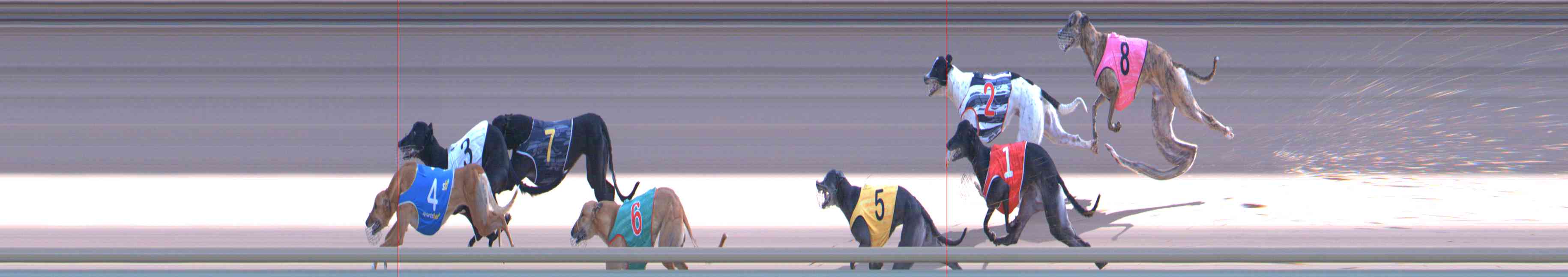 Photo finish for Healesville Race 10