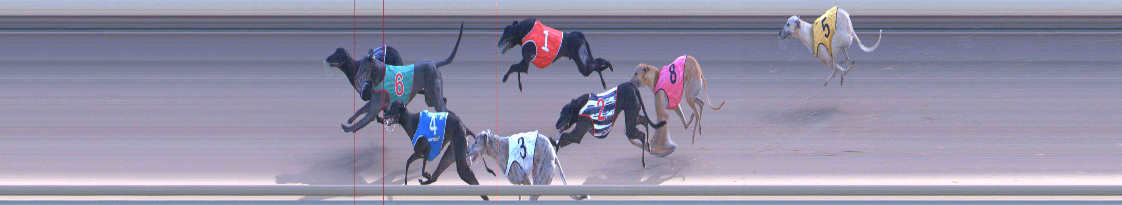 Photo finish for Healesville Race 11
