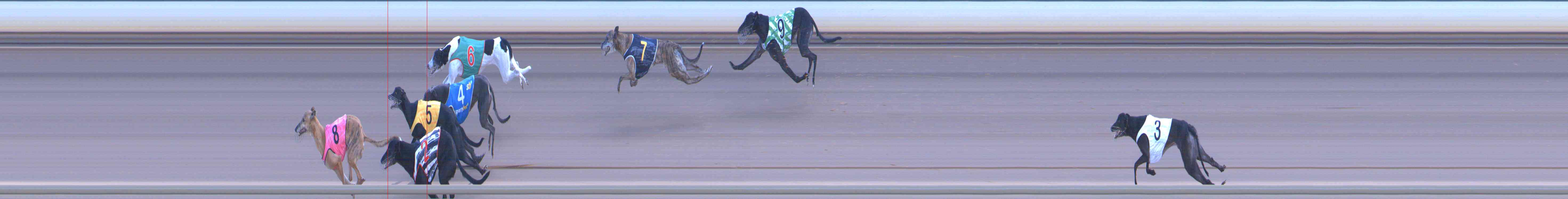 Photo finish for Healesville Race 12