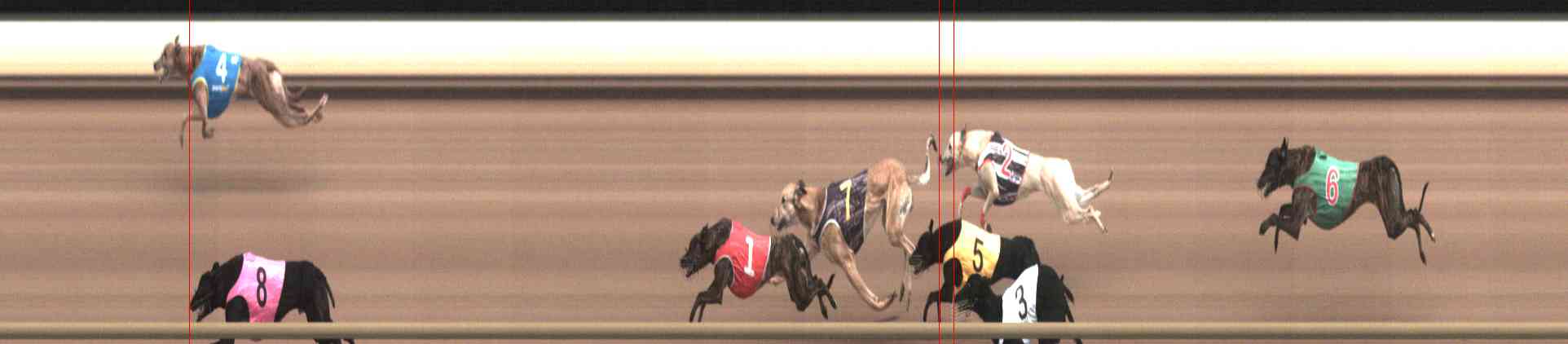 Photo finish for Healesville Race 5