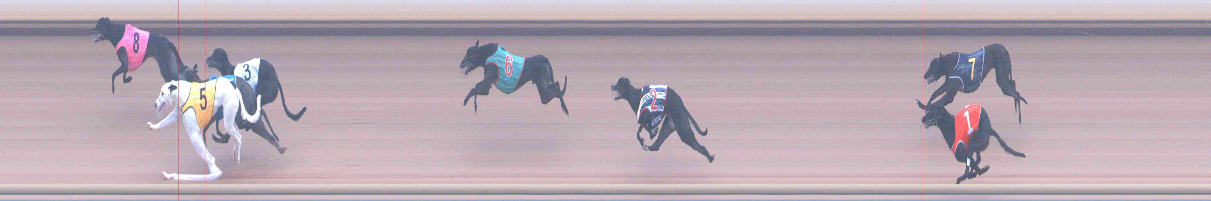 Photo finish for Healesville Race 1