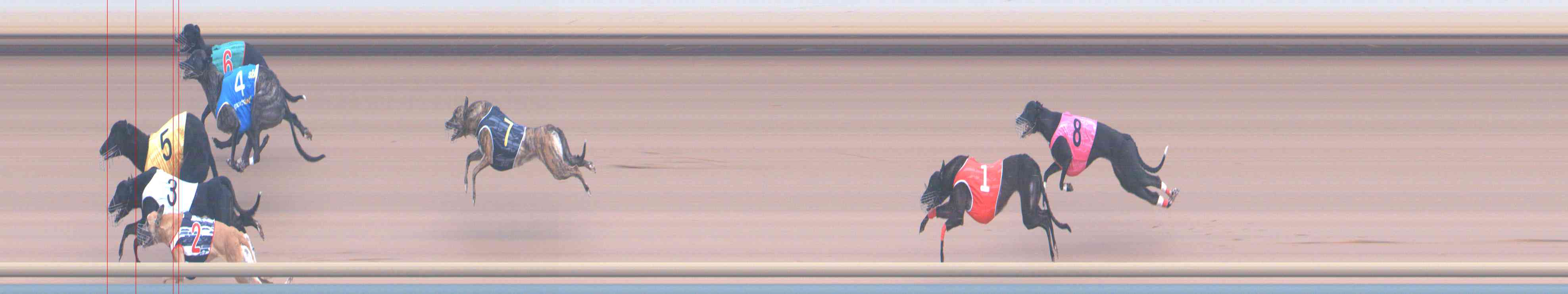 Photo finish for Healesville Race 2