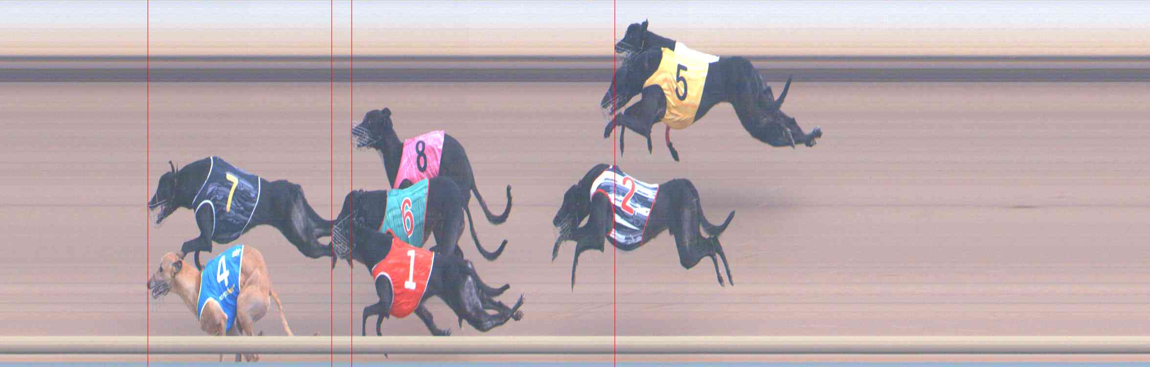 Photo finish for Healesville Race 3