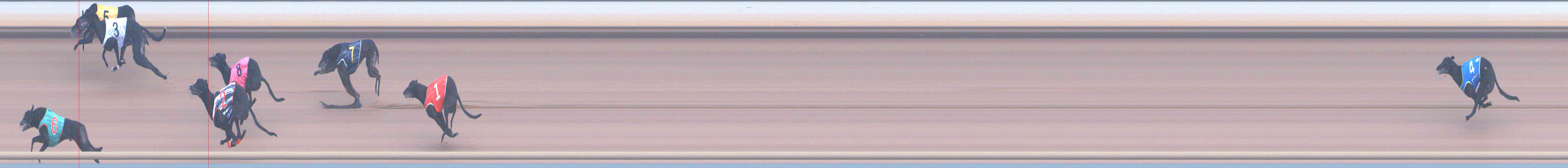 Photo finish for Healesville Race 4