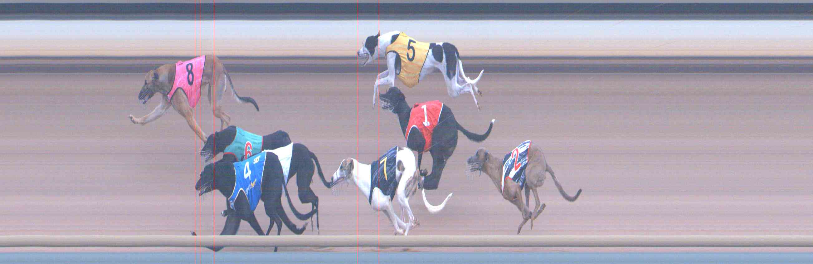 Photo finish for Healesville Race 6
