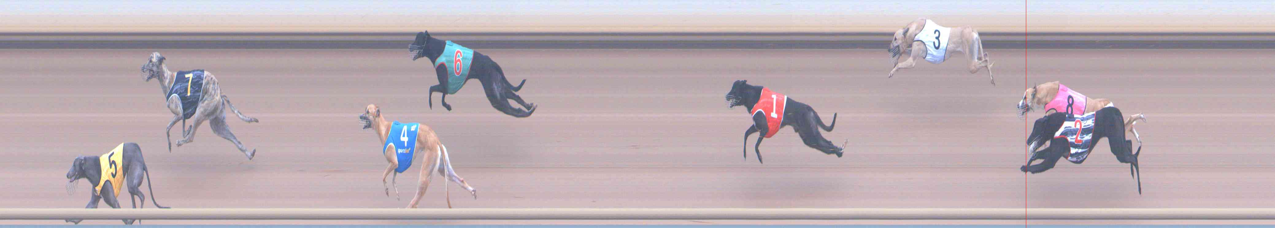 Photo finish for Healesville Race 7