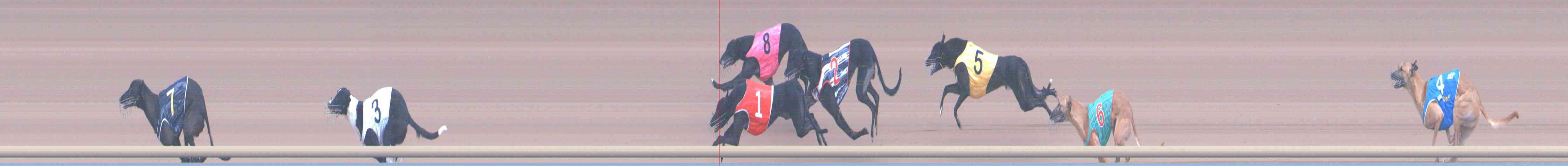 Photo finish for Healesville Race 8