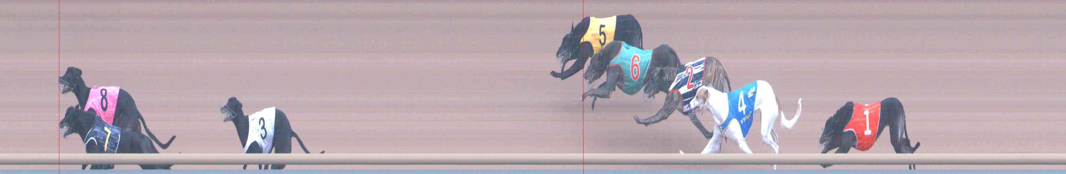 Photo finish for Healesville Race 9