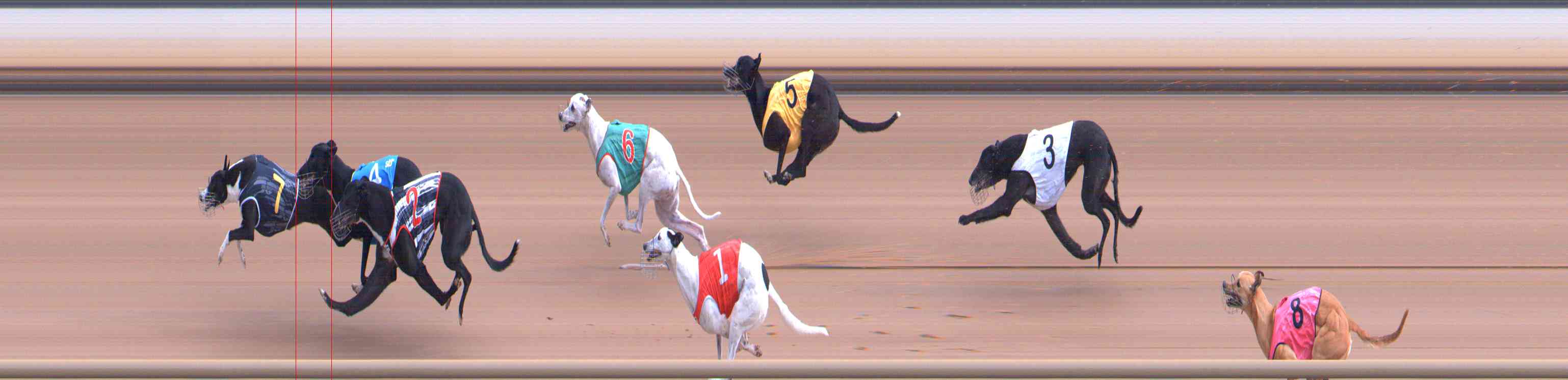 Photo finish for Healesville Race 1