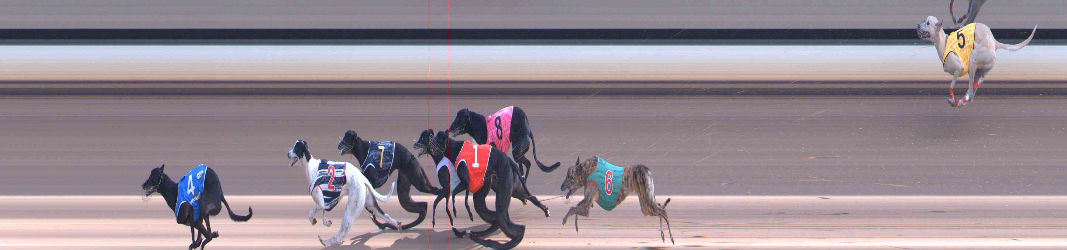 Photo finish for Healesville Race 10