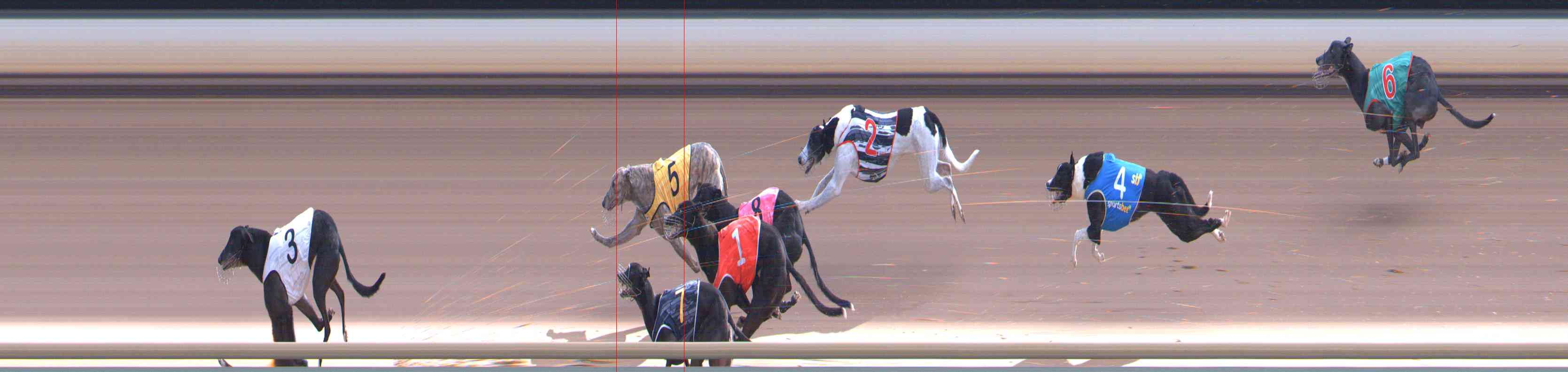 Photo finish for Healesville Race 11
