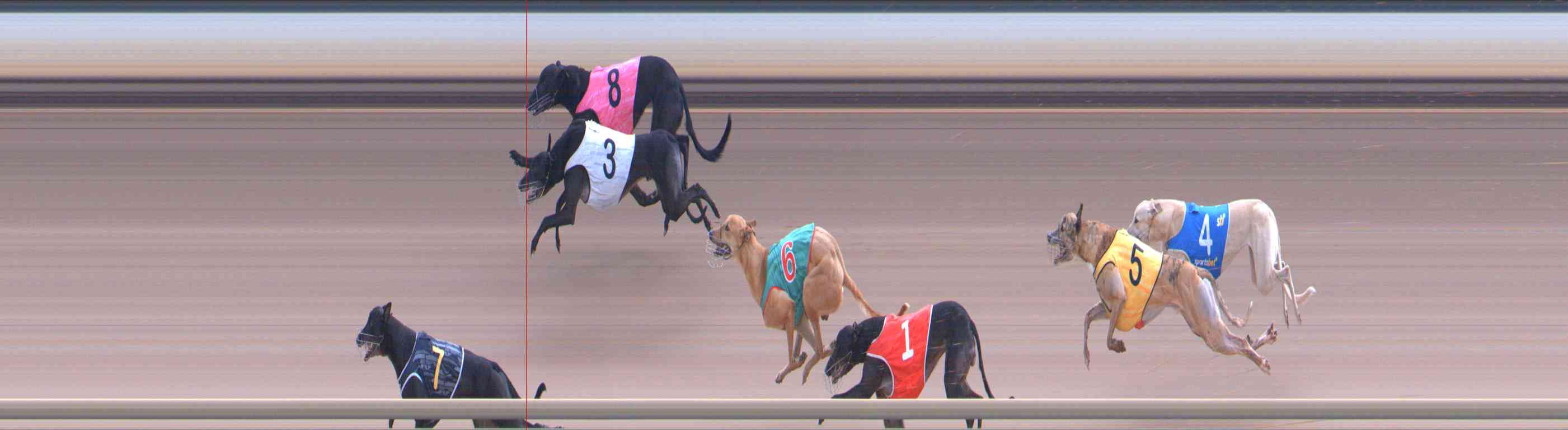 Photo finish for Healesville Race 12