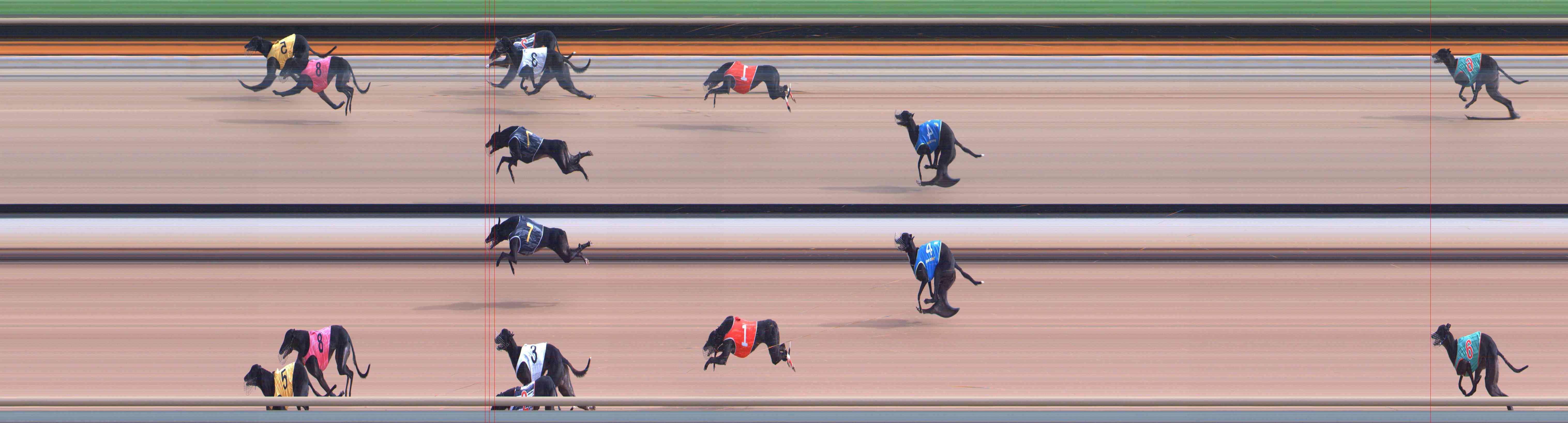 Photo finish for Healesville Race 2