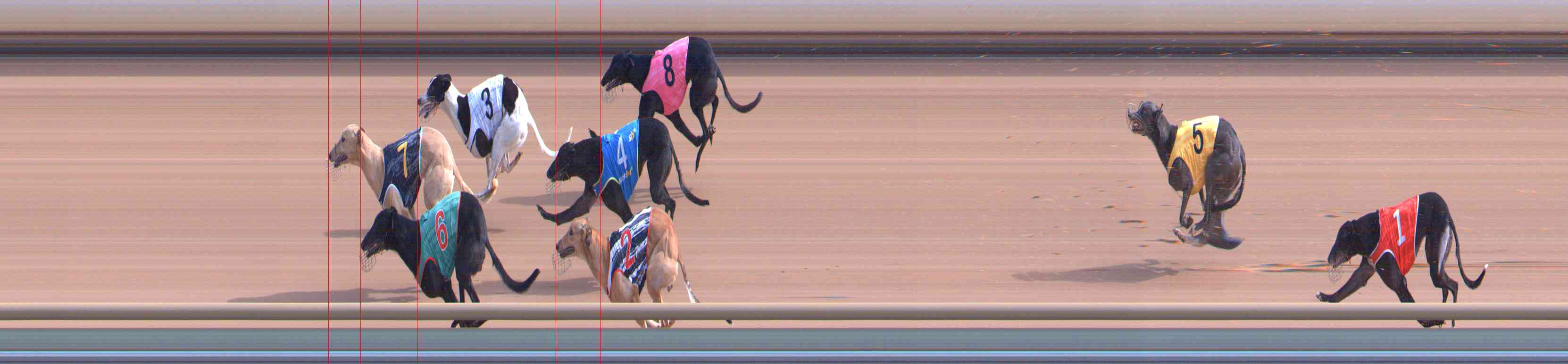 Photo finish for Healesville Race 3