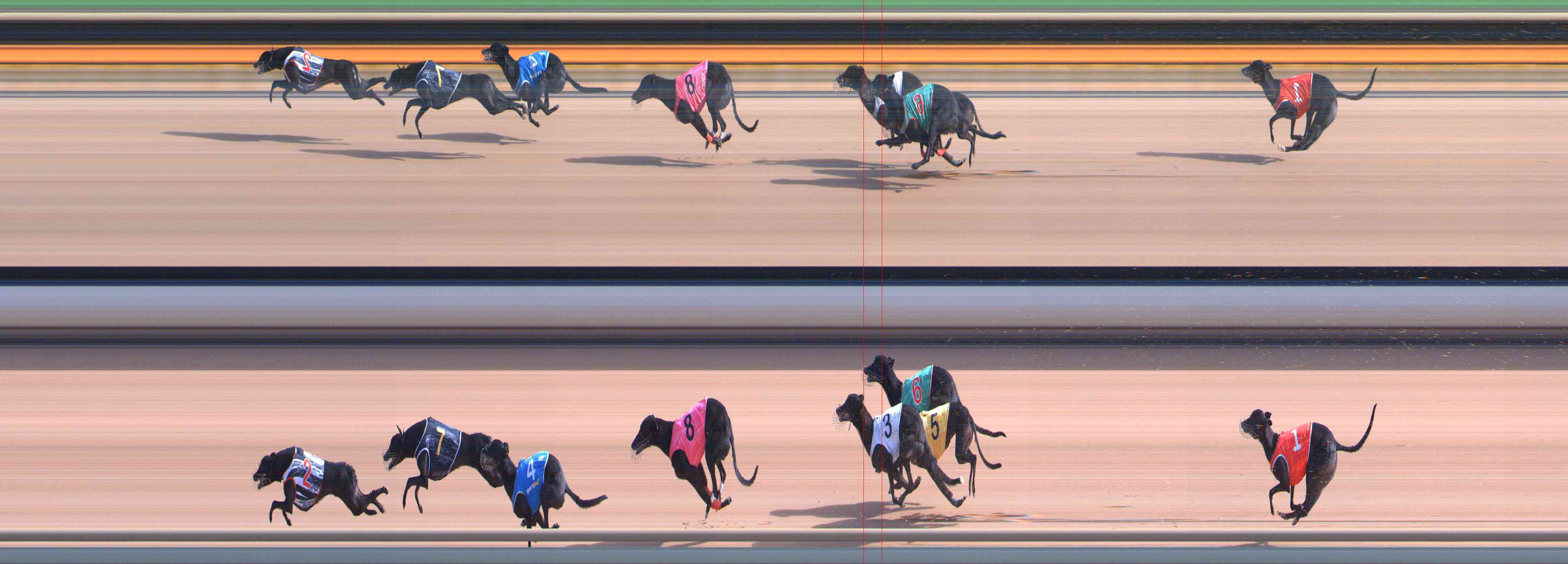 Photo finish for Healesville Race 4