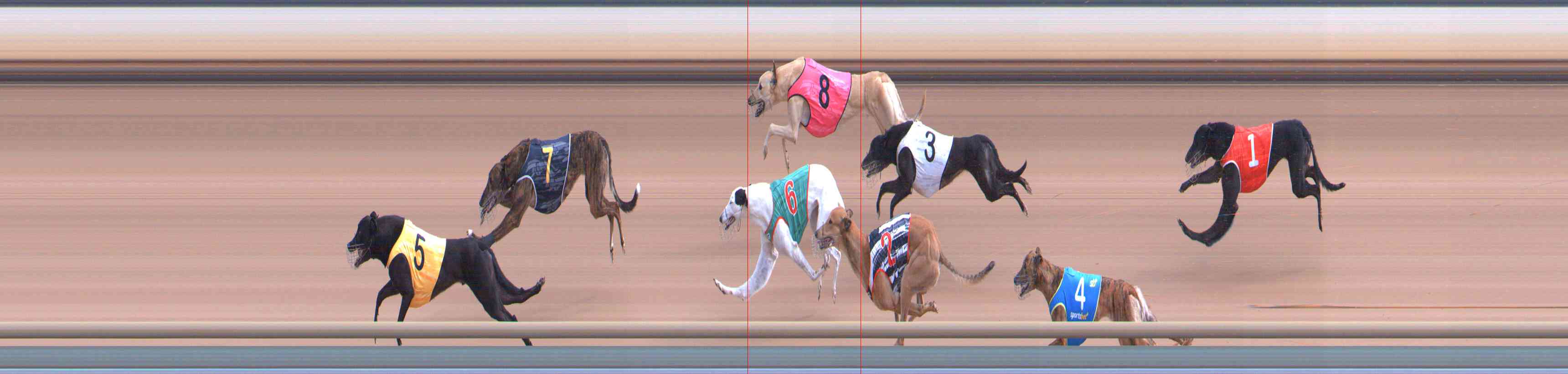 Photo finish for Healesville Race 6