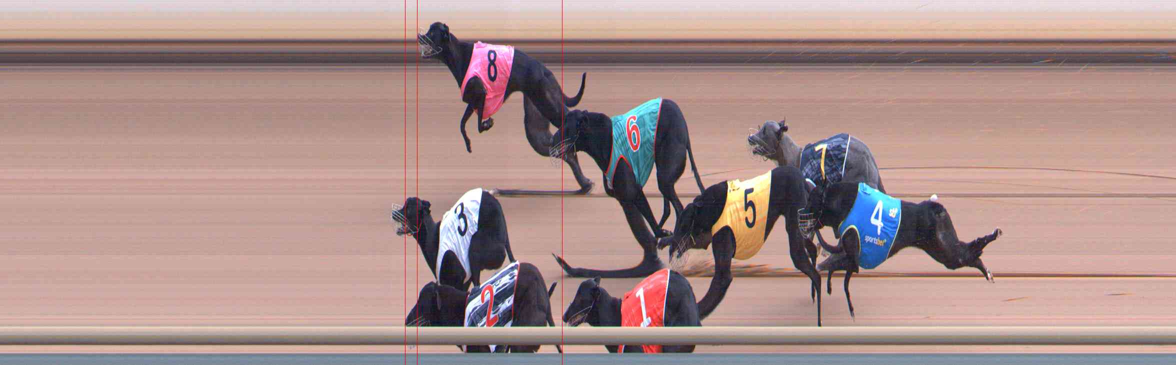 Photo finish for Healesville Race 7