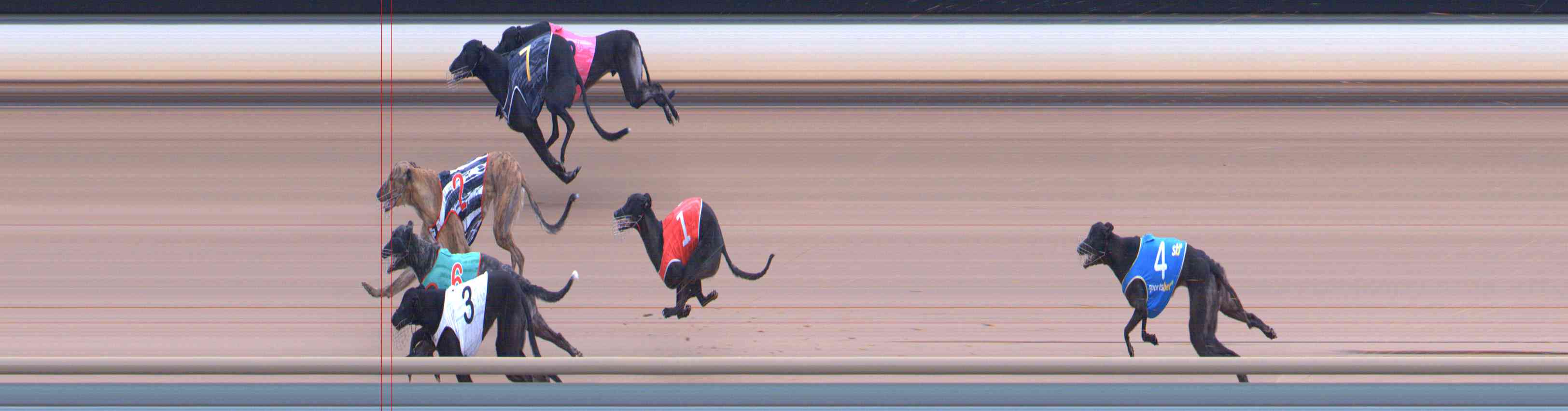Photo finish for Healesville Race 8