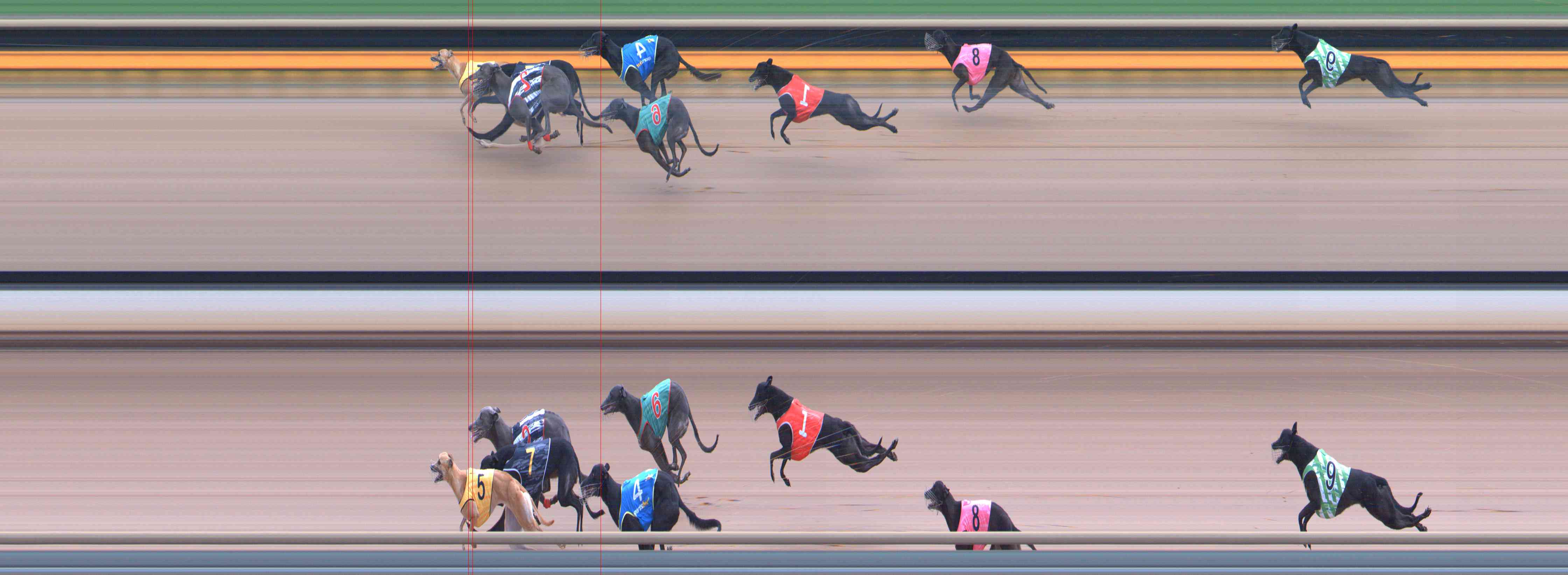 Photo finish for Healesville Race 9