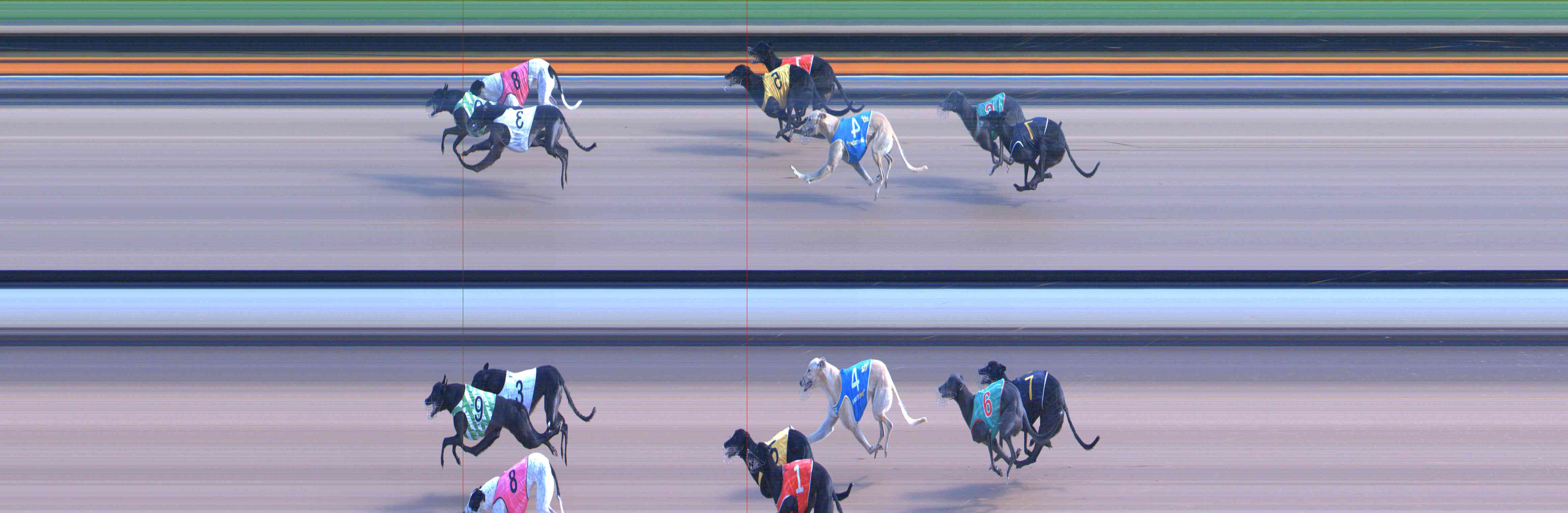 Photo finish for Healesville Race 5